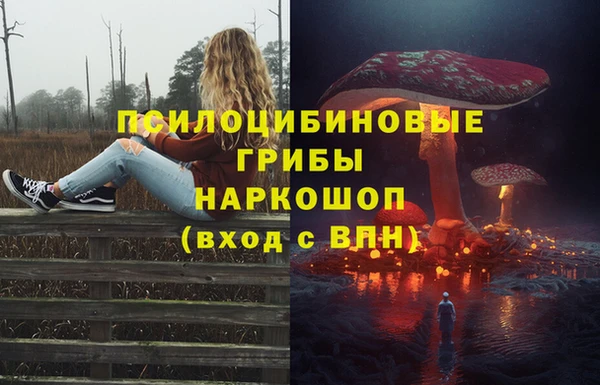 винт Арсеньев